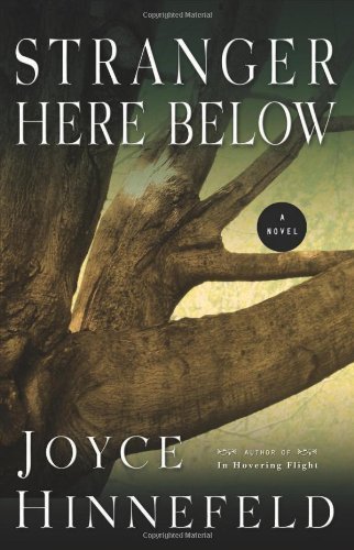 Joyce Hinnefeld/Stranger Here Below